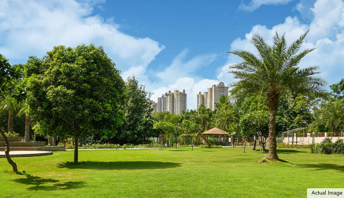 Artech Rio Kottayam